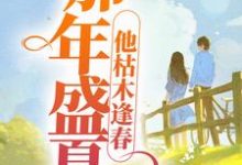 那年盛夏,他枯木逢春小说有没有完结版在线?-艾米文学