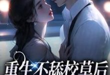 苏迦妮迟域小说《重生不舔校草后,反被他求婚啦》在线阅读-艾米文学