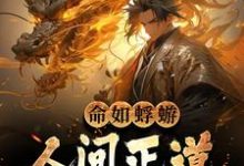 已完结小说《命如蜉蝣：人间正道是长生》章节在线阅读-艾米文学