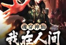 魂穿神仙，我在人间装疯卖傻这本小说在哪里可以看？哪里有免费试读章节？-艾米文学
