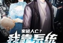 家破人亡?我靠系统儿孙满堂小说有没有完结版在线?-艾米文学