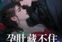 小说《孕肚藏不住,冰山总裁找上门》在线章节阅读-艾米文学