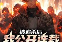 小说《被追杀后，我公开连载逃亡经历》在线章节阅读-艾米文学