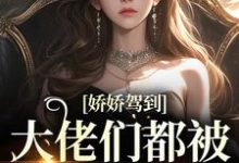 娇娇驾到,大佬们都被吊成翘嘴了洛嫣各大男主们小说免费阅读-艾米文学
