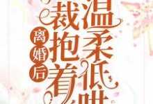 离婚后，总裁抱着前妻温柔低哄小说有没有完整的免费版本在线阅读？-艾米文学