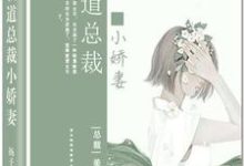 霸道总裁小娇妻小说完结了吗?在哪里可以免费读到?-艾米文学