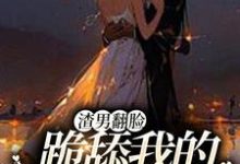 渣男翻脸,跪舔我的时候忘了?小说有没有完结版在线?-艾米文学