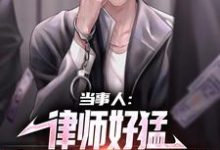 当事人：律师好猛，案子解决真轻松最新章节，当事人：律师好猛，案子解决真轻松免费阅读-艾米文学