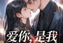 爱你，是我最深的执念苏酥小说大结局免费试读-艾米文学