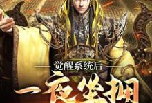 在线寻找觉醒系统后，一夜坐拥80万精骑小说的无删减版本-艾米文学
