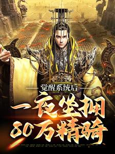 在线寻找觉醒系统后，一夜坐拥80万精骑小说的无删减版本