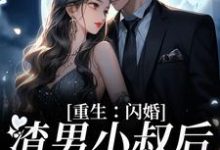 重生:闪婚渣男小叔后,她赢麻了免费阅读,重生:闪婚渣男小叔后,她赢麻了章节在线阅读-艾米文学