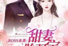 苏沫沫厉司夜小说BOSS来袭:甜妻一胎双宝在线阅读-艾米文学