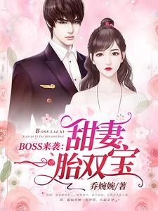 苏沫沫厉司夜小说BOSS来袭：甜妻一胎双宝在线阅读