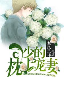 完结版《司少的枕上宠妻》在线免费阅读
