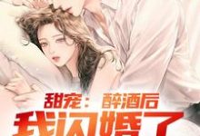 甜宠：醉酒后，我闪婚了千金总裁小说，甜宠：醉酒后，我闪婚了千金总裁林南-艾米文学