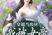 穿越当废材，我被女帝老婆包养了叶安墨倾城在线章节免费阅读-艾米文学