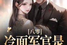 八零:冷面军官是宠妻狂魔沈青谢元霆,八零:冷面军官是宠妻狂魔小说免费阅读-艾米文学