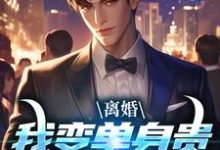 离婚：我变单身贵族强势追爱小说完结了吗？在哪里可以免费读到？-艾米文学
