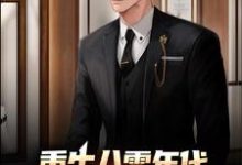 小说《重生八零年代，我成了豪门继承人》章节免费阅读-艾米文学