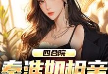 四合院：秦淮如相亲，我截胡小说无弹窗阅读的网站推荐-艾米文学