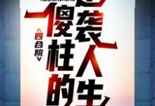 何雨柱娄小娥小说完结版在线阅读，四合院：傻柱的逆袭人生免费看-艾米文学