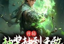 已完结小说《开局抽奖抽到无敌，这还玩吗？》章节在线阅读-艾米文学