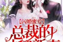 闪婚蜜爱:总裁的神秘新妻最新章节,闪婚蜜爱:总裁的神秘新妻免费阅读-艾米文学
