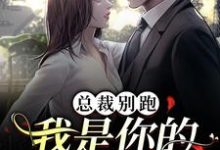 总裁别跑，我是你的命定女人小说，总裁别跑，我是你的命定女人陈池舒欣柔-艾米文学