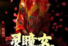诡异:灵瞳女,蛇灵夫这本小说在哪里可以看?哪里有免费试读章节?-艾米文学