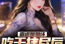 霸道姐姐坏，吃干抹尽后不认人了这本小说完结了吗？免费查看最新章节-艾米文学