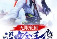 无限轮回：没有金手指的我悲剧了小说的免费电子版在哪里可以下载或阅读？-艾米文学