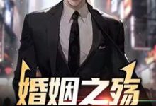 已完结小说《婚姻之殇:妻子的秘密》章节在线阅读-艾米文学