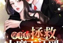 酒酿丸子小说《穿书后拯救大魔王计划》在线阅读-艾米文学