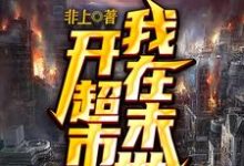我在末世开超市最新章节，我在末世开超市免费阅读-艾米文学