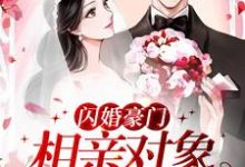 闪婚豪门:相亲对象是大佬免费阅读,闪婚豪门:相亲对象是大佬许南音陆南骁-艾米文学