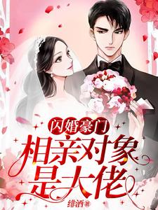 闪婚豪门：相亲对象是大佬免费阅读，闪婚豪门：相亲对象是大佬许南音陆南骁