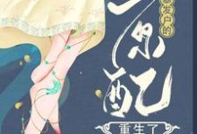 《暴发户的原配重生了》小说大结局免费试读 孙丽芳周允石小说-艾米文学