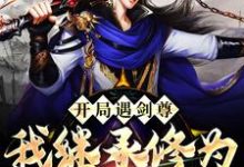 《开局遇剑尊:我继承修为逆天破境》小说大结局免费试读 林逍小说-艾米文学