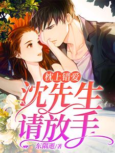 已完结小说《枕上错爱：沈先生请放手》章节在线阅读