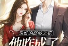 求说好的高岭之花,他咋成了偏执疯子小说的全文免费阅读链接-艾米文学