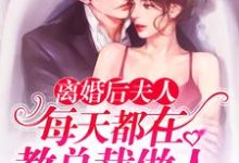 小说《离婚后夫人每天都在教总裁做人》在线章节阅读-艾米文学