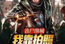 丧尸围城，我靠拍照解锁无敌技能小说全文阅读需要付费吗？寻找免费资源-艾米文学
