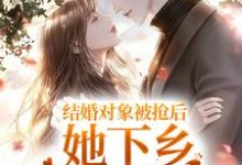 小说《结婚对象被抢后,她下乡闪婚双胎了》章节免费阅读-艾米文学
