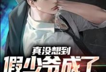 完结版《真没想到,假少爷成了真少爷》在线免费阅读-艾米文学