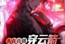 人在直播:穿云箭,体验VIP服务这本小说在哪里可以看?哪里有免费试读章节?-艾米文学