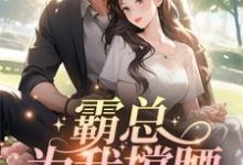 在线寻找霸总为我撑腰，我哐哐虐渣小说的无删减版本-艾米文学