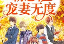 叶星回江月白小说一见钟情：霸总他宠妻无度在线阅读-艾米文学