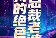 陈度许芷珊郑鸿飞小说叫什么（我的绝色总裁老婆免费阅读）-艾米文学