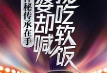 寻找神秘传承在手，老婆却喊我吃软饭小说的最新更新章节-艾米文学